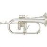 Comprar Yamaha YFH-8315GS 02 al mejor precio