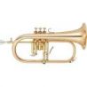 Comprar Yamaha YFH-8310ZG 02 al mejor precio
