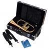 Comprar Yamaha YFH-8310ZG 02 al mejor precio