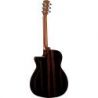 Comprar Alvarez AEG95CE ShadowBurst Artist Elite Grand