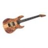 Comprar Sire Larry Carlton X10 Natural Satin al mejor precio