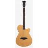 Sire Larry Carlton G5a Natural Satin
