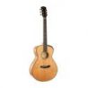 Comprar Cort Gold Passion Nat W/Case al mejor precio