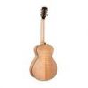Comprar Cort Gold Passion Nat W/Case al mejor precio