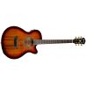 Comprar Washburn Festival Ea55G Koa Burst Guitarra
