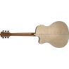 Comprar Washburn Apprentice Ag40Ce Natural Guitarra