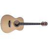 Washburn Af5 Au Guitarra Acústica