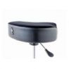 Comprar Dixon PSN-12HmSillín HydráulicoAsiento Tipo Moto De