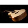 Comprar Washburn Wcg66sce Comfort Series Spalt Maple Guitarra