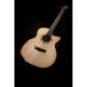 Comprar Washburn Wcg66sce Comfort Series Spalt Maple Guitarra