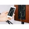 Comprar Joyo BSK-80 Amplificador Guitarra Acustica al mejor