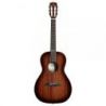 Comprar Alvarez MP66E HF SHB Masterworks 66 Parlor al mejor