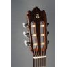 Comprar Alhambra 3F CT E1 Estrecha Electrificada Fishman al