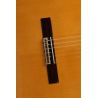 Comprar Alhambra 3F CT E1 Estrecha Electrificada Fishman al