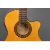 Comprar Alhambra 3F CT E1 Estrecha Electrificada Fishman al
