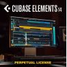 Steinberg Cubase Artist 14 Retail 