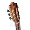 Alhambra GS Cut Away E8 Fishman Green Sustain con Funda de 25mm 