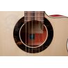 Alhambra GS Cut Away E8 Fishman Green Sustain con Funda de 25mm 
