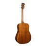 Martin Guitars D-17 GE 2025 Standard Golden Era