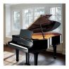 Yamaha C3 6194817 (2007) Ocasión