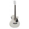 Compra Daytona A-401CE Guitarra electroacustica Blanco al mejor precio