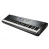Kurzweil SP1