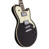D'Angelico Premier Atlantic Black Flake
