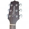 Takamine GD21CE-SM Satin Molasse