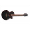 Takamine GF49CE-CB Cosmic Black Pearl
