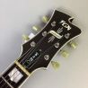 FGN Fujigen Masterfield Jazzburst Guitarra eléctrica