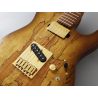 FGN Fujigen EXPERT ILIAD Hojicha Burst Guitarra eléctrica