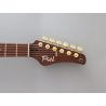 FGN Fujigen EXPERT ODYSSEY Hojicha Burst Guitarra eléctrica