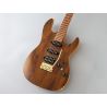 FGN Fujigen EXPERT ODYSSEY Vintage Natural Guitarra eléctrica