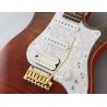 FGN Fujigen EXPERT ODYSSEY Ripe Kaki Gradiation Guitarra eléctrica