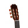 Antonio de Toledo ATF-17M de arce rizado Guitarra Flamenca