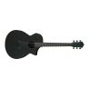 Ibanez AEWC621-BOT Guitarra Electroacústica