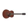 Ibanez AJ54E-OPN Guitarra Electroacústica