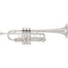 Compra YAMAHA YTR-8445GS 04 TROMPETA al mejor precio