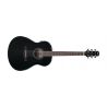 Ibanez AAM100E-BK Black High Gloss Guitarra Electroacustica