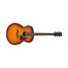 Ibanez PJ50E-OAH Guitarra Electroacústica