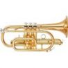 Compra yamaha ycr-4330gii cornet/bb/ml-bore al mejor precio