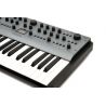Modal CARBON8 (37 Keys)
