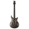 PRS Custom 24 Aurora Borealis