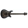 PRS Mark Holcomb Guitarra eléctrica Blue Wraparound Burst