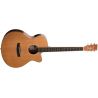 Tanglewood TW4 CENA Winterleaf Guitarra electroacústica