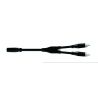Proel BULK525LU03 Cable Mini Jack Estéreo H - 2 RCA 3m