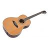 Sire Larry Carlton A3 Parlor NT Natural