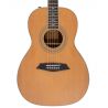 Sire Larry Carlton A3 Parlor NT Natural