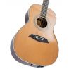 Sire Larry Carlton A3 Parlor NT Natural