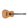 Sire Larry Carlton A3 Parlor NT Natural